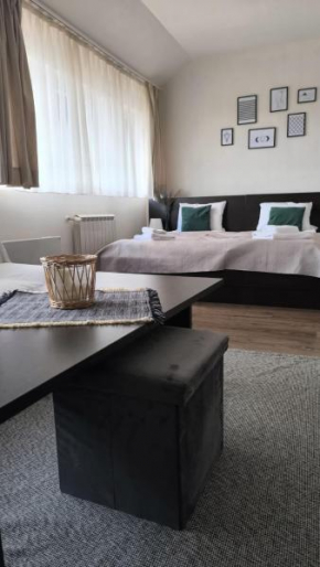 Happy Stay Gondola Loft Bansko